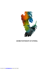 Adobe 23101764 - Photoshop CS - PC Tutorial