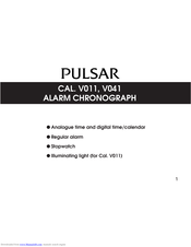 pulsar v041
