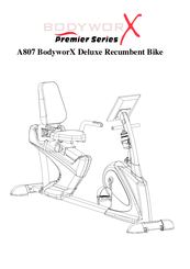 bodyworx recumbent bike