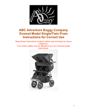 adventure buggy company