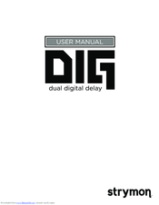 Strymon DIG Manuals | ManualsLib