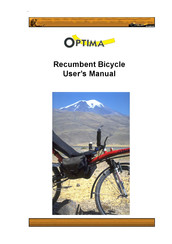 optima stinger recumbent