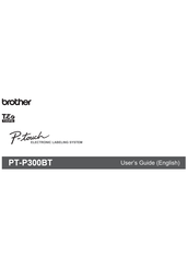 p touch cube manual